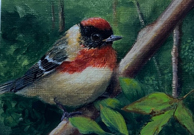 ACEO painting 12
